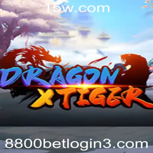 Descobrindo o Mundo de DragonXTiger: Regras e Eventos Recentes